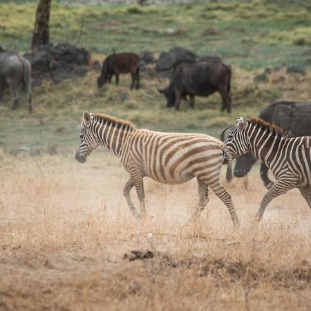 Sarova Lion Hill Game Lodge Nakuru Dış mekan fotoğraf