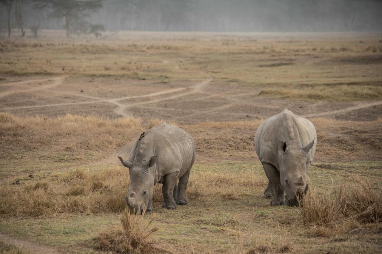 Sarova Lion Hill Game Lodge Nakuru Dış mekan fotoğraf