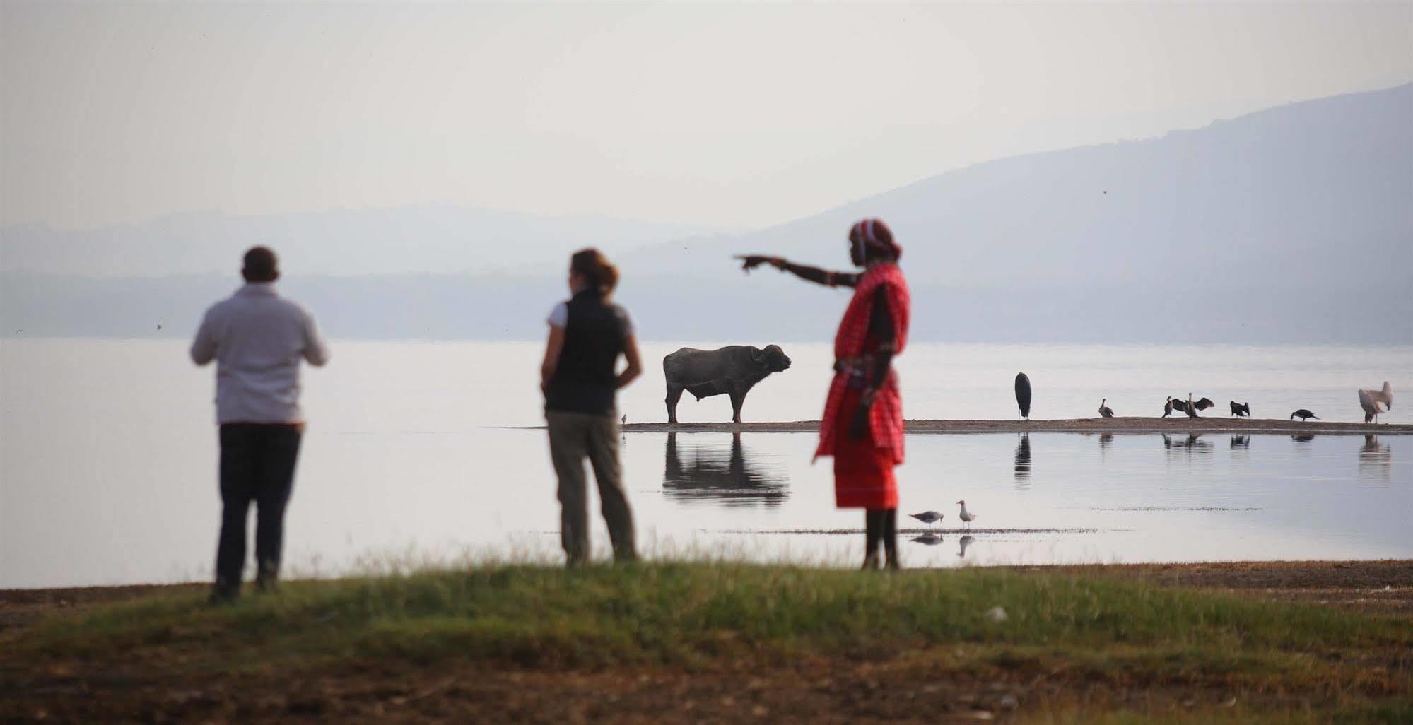 Sarova Lion Hill Game Lodge Nakuru Dış mekan fotoğraf